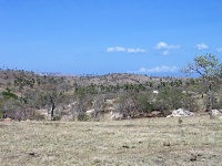 Charakteristické ekosystémy - travnatá savana (ostrov Rinca)