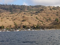 Charakteristické ekosystémy - travnatá savana (ostrov Komodo)