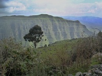 Charakteristické ekosystémy - hory vyšší než 4000 m