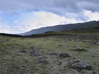 Charakteristické ekosystémy - horská polopoušť