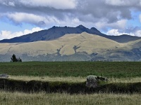 Charakteristické ekosystémy - hory vyšší než 4000 m (Pasochoa)
