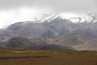 Charakteristické ekosystémy - hory vyšší než 4000 m (Chimborazo)
