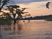 Charakteristické ekosystémy - sladkovodní ekosystémy (laguna - Laguna Grande)