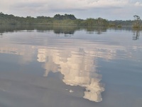 Charakteristické ekosystémy - sladkovodní ekosystémy (laguna - Laguna Grande)