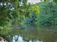 Charakteristické ekosystémy - sladkovodní ekosystémy (vodní toky - řeka Cuyabeňo)