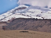 Charakteristické ekosystémy - hory vyšší než 4000 m (Cotopaxi)