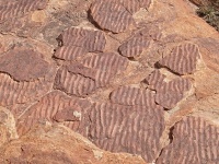 Zkamenělý písek z mělkého mořského dna