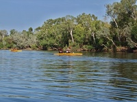 Charakteristické ekosystémy - sladkovodní ekosystémy (řeka Katherine)