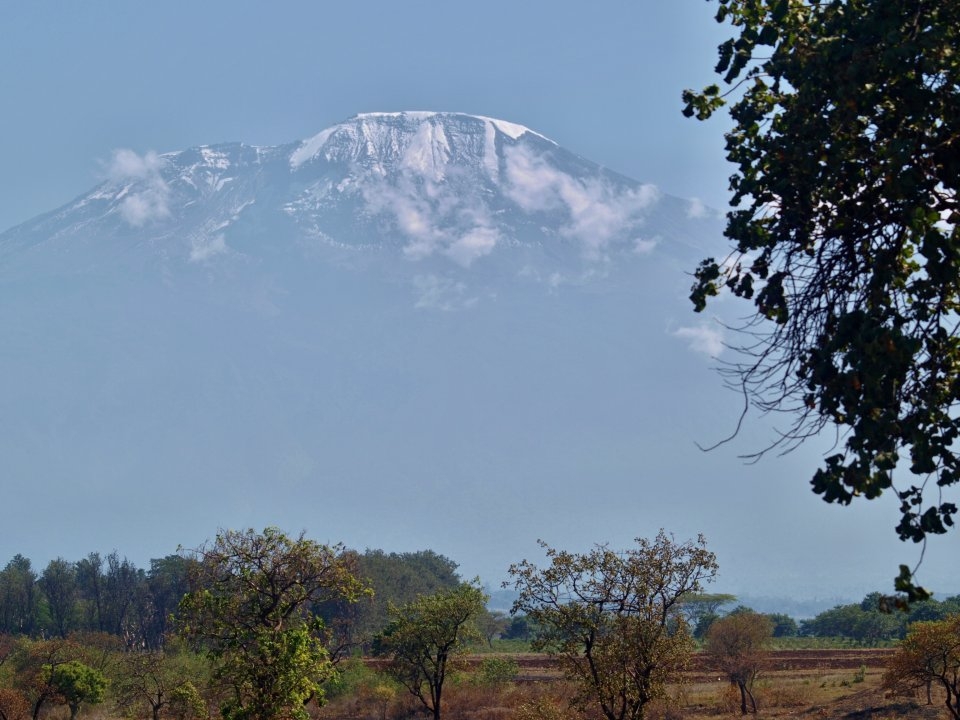 Kilimanjaro Kilimanjaro