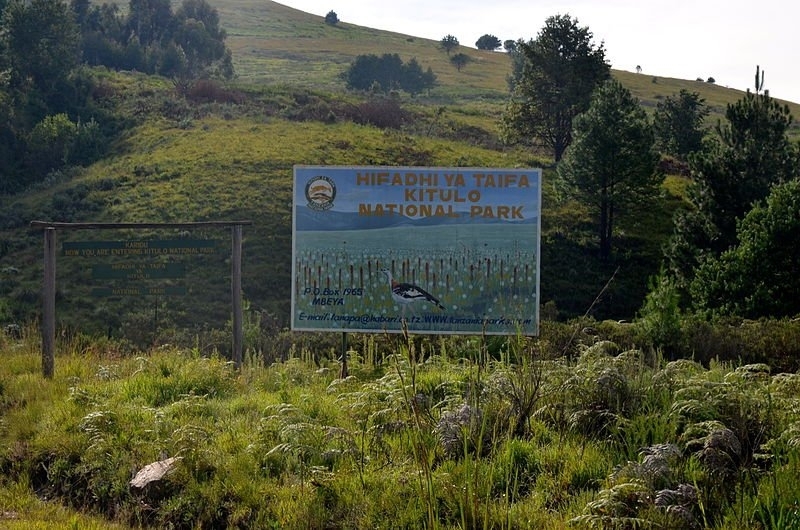 Kitulo Kitulo