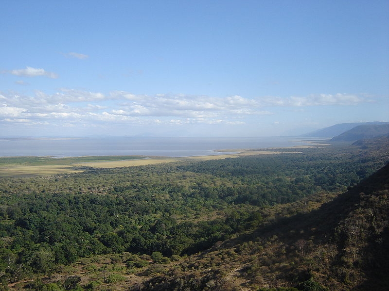 Manyara Lake