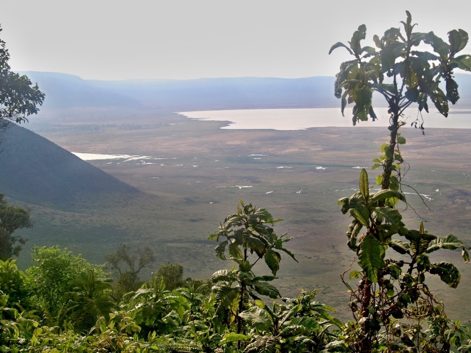 Ngorongoro Ngorongoro