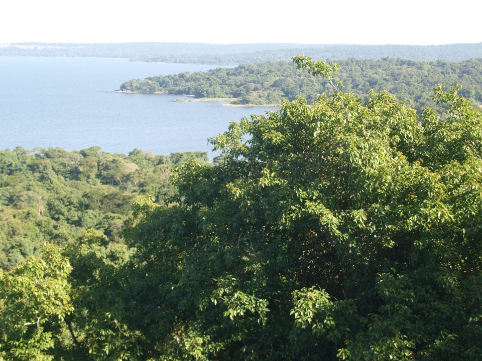 Rubondo Island Rubondo Island
