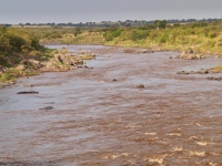Charakteristické ekosystémy - sladkovodní ekosystémy (řeka Mara)