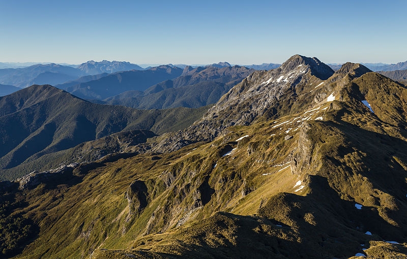Kahurangi
