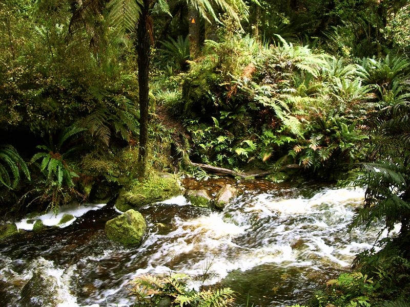 Rakiura