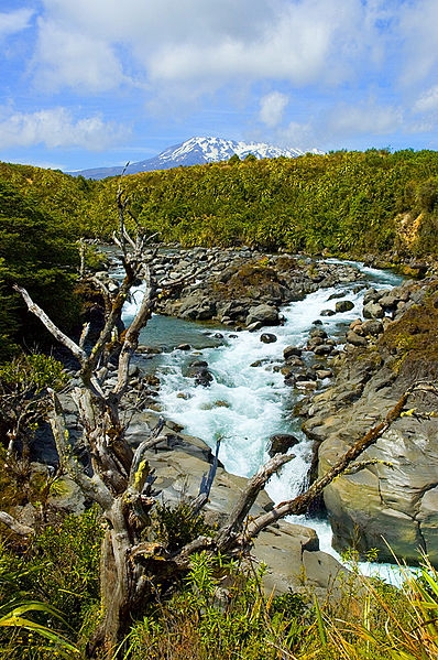 Tongariro 