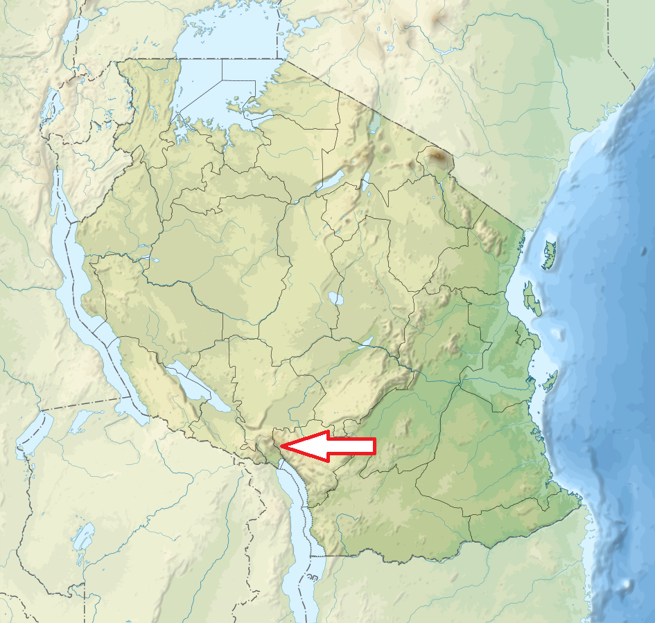 Kitulo Kitulo