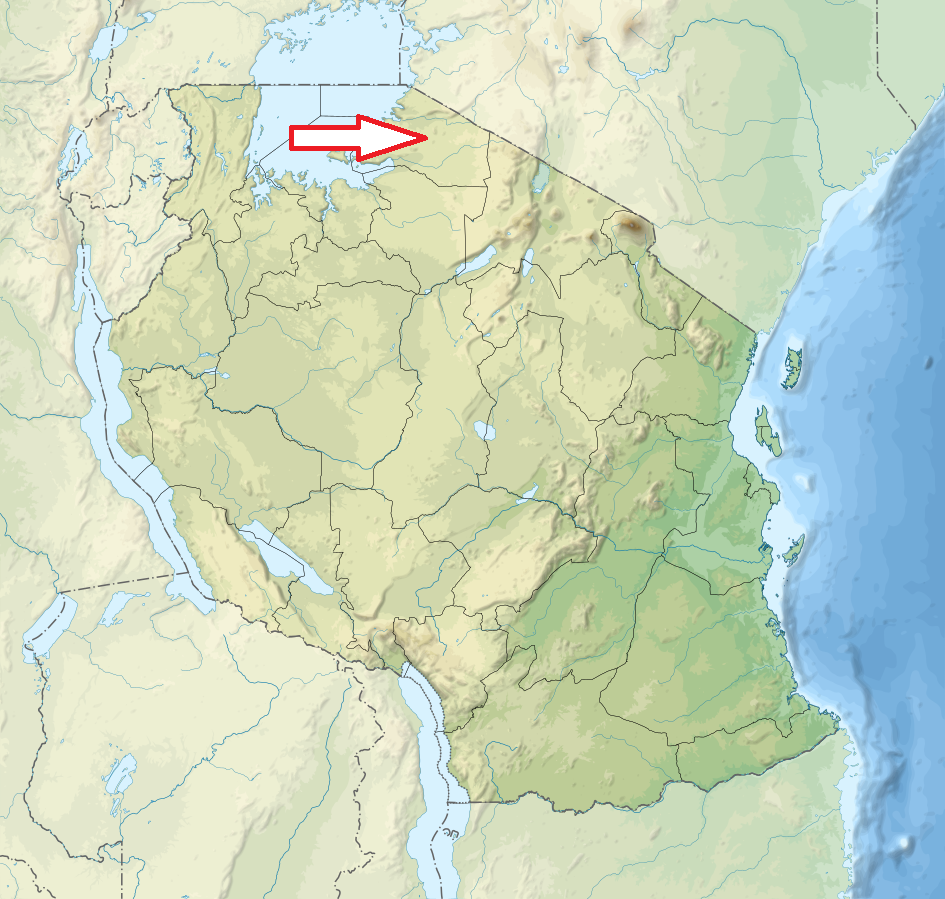 Serengeti Serengeti