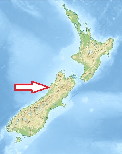 Paparoa Paparoa