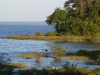 Charakteristické ekosystémy - sladkovodní ekosystémy (Viktoriino jezero)