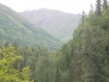 Charakteristické ekosystémy - lesy mírného pásma (smíšený les)