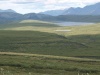 Charakteristické ekosystémy - tundra