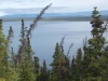 Charakteristické ekosystémy - sladkovodní ekosystémy (jezero Kluane)
