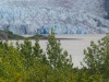 Charakteristické ekosystémy - ledovec