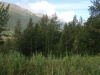 Charakteristické ekosystémy - lesy mírného pásma (tajga)