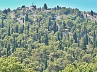 Charakteristické ekosystémy - lesy mírného pásma (xerofytní les na vápenci)