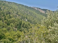 Charakteristické ekosystémy - lesy mírného pásma (xerofytní les na vápenci)