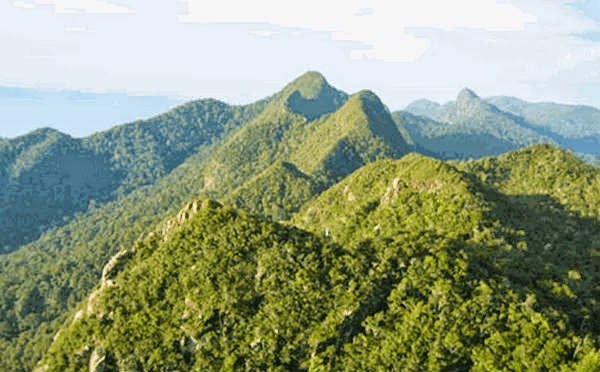 Bukit Baka - Bukit Raya Bukit Baka - Bukit Raya