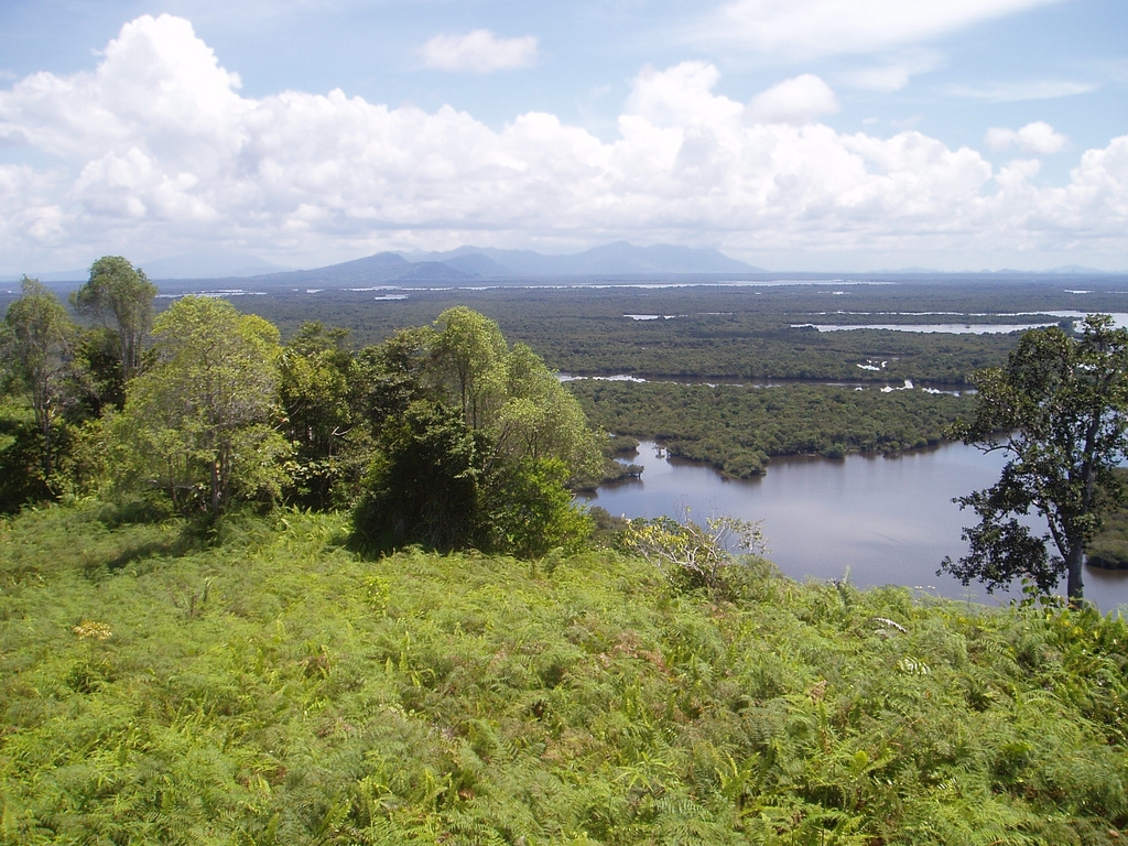 Danau Sentarum Danau Sentarum