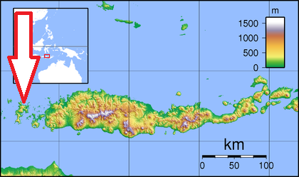 Komodo Komodo
