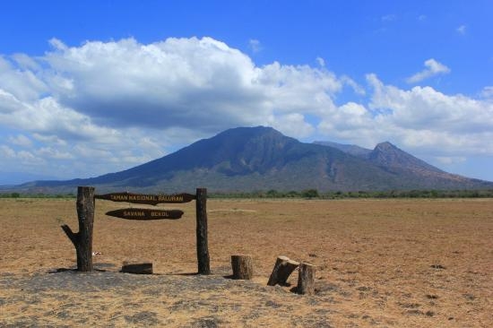 Baluran Baluran
