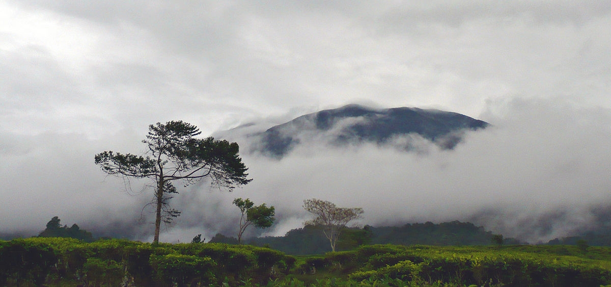 Gunung Gede Pangrango Gunung Gede Pangrango