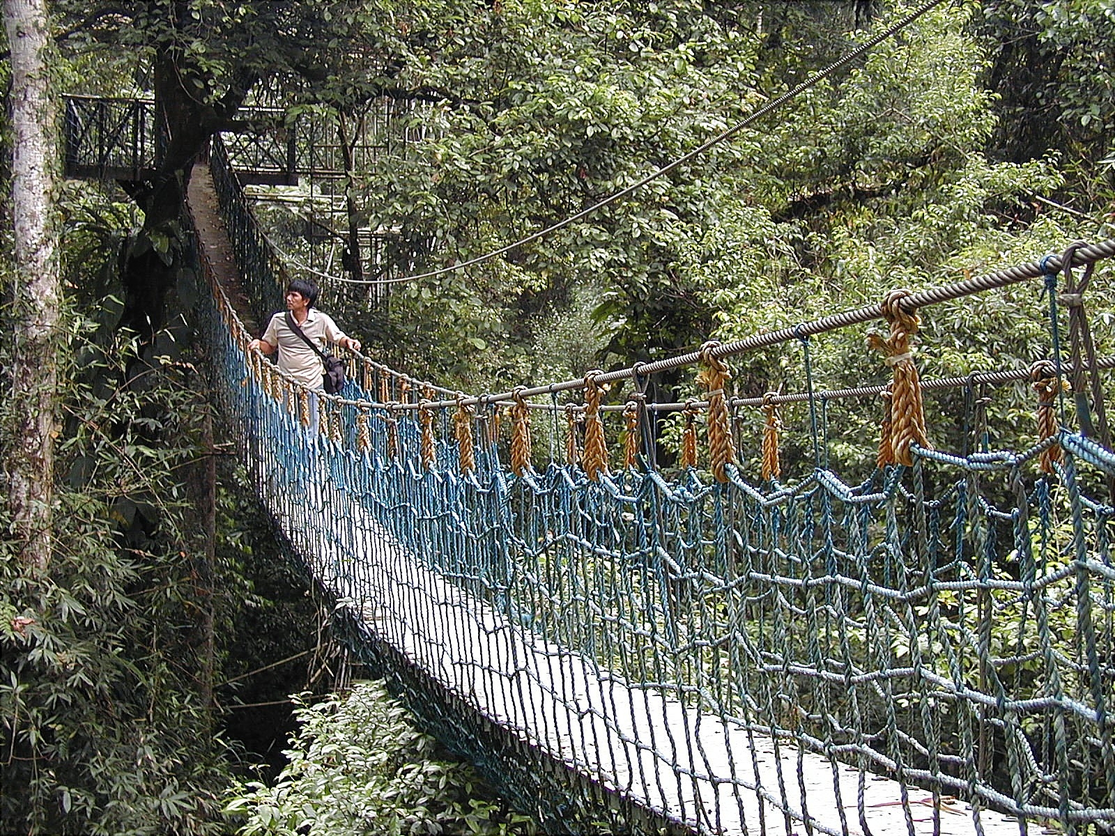 Gunung Halimun Gunung Halimun