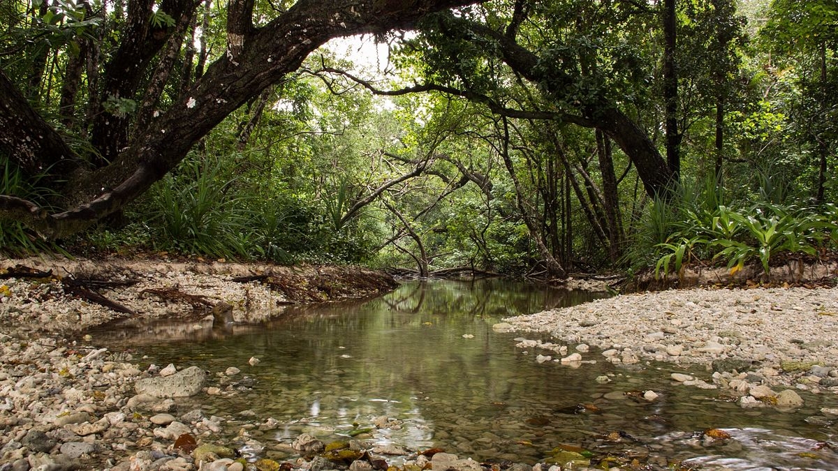 Ujung Kulon Ujung Kulon