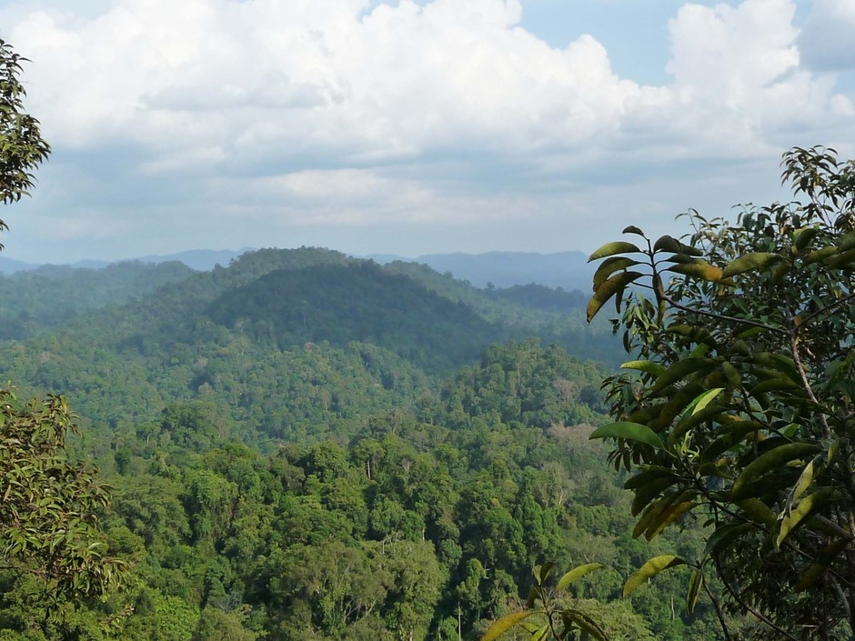 Bukit Tigapuluh Bukit Tigapuluh
