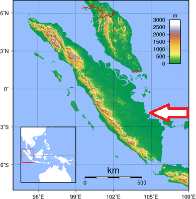 Sembilang Sembilang
