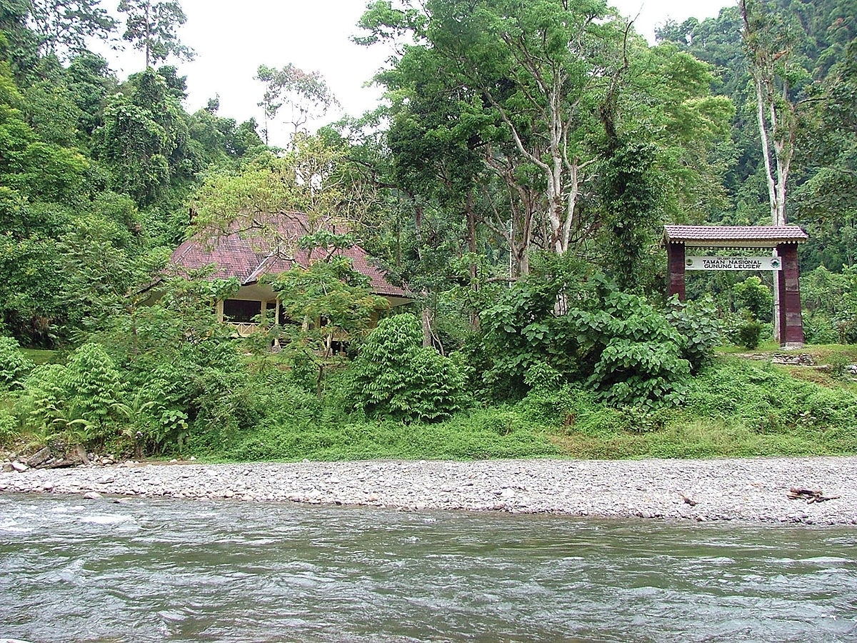 Gunung Leuser Gunung Leuser