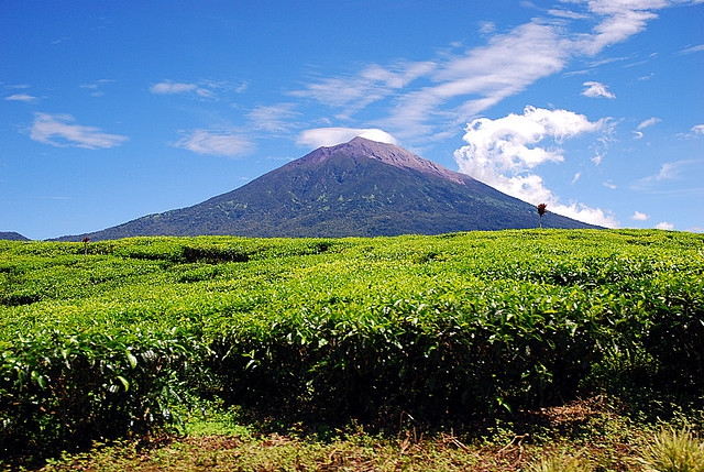 Kerinci Seblat Kerinci Seblat