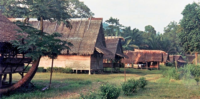 Siberut Siberut