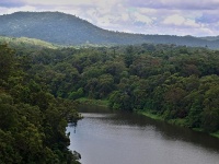 Charakteristické ekosystémy - sladkovodní ekosystémy (řeka Barron River)