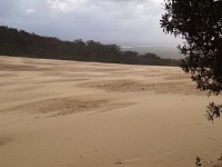 Charakteristické ekosystémy - písečné duny (Rainbow Beach)