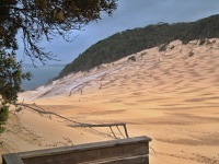 Charakteristické ekosystémy - písečné duny (Rainbow Beach)