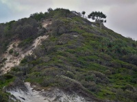 Charakteristické ekosystémy - písečné duny