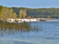Charakteristické ekosystémy - sladkovodní ekosystémy (jezero)