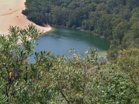 Charakteristické ekosystémy - sladkovodní ekosystémy (jezero)